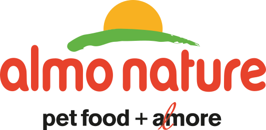 Partner 3