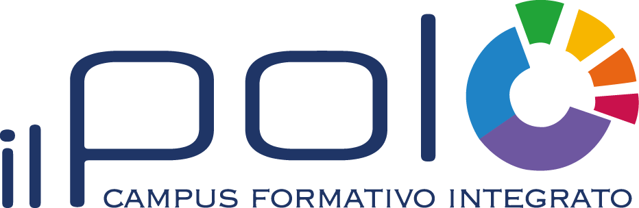 Partner 6